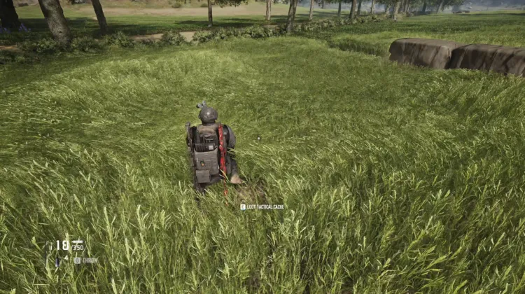 Tactical Caches