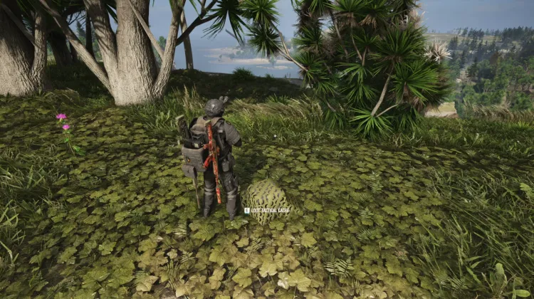 Tactical Caches