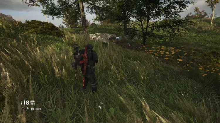 Abandoned Site