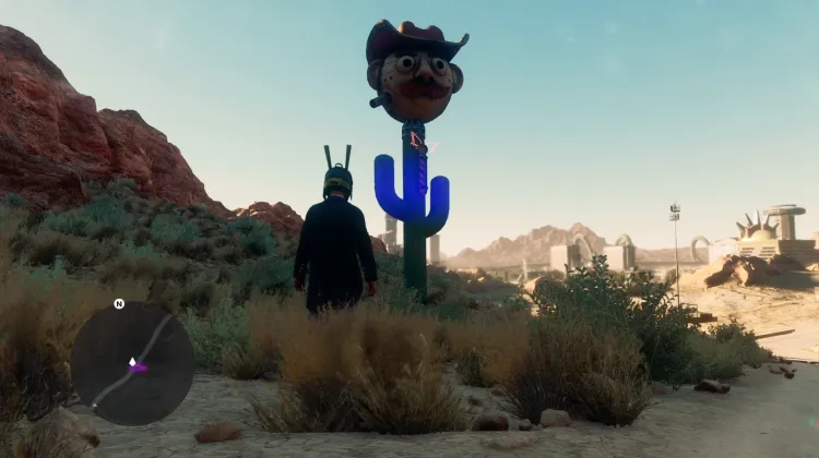 Vaquero Cactus