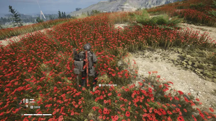 Tactical Caches