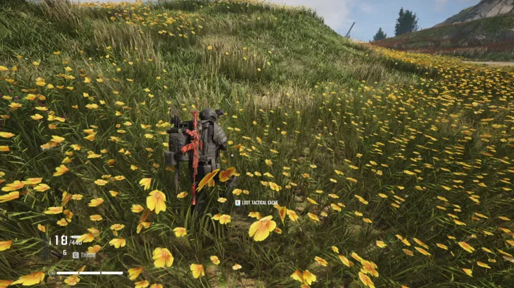 Tactical Caches