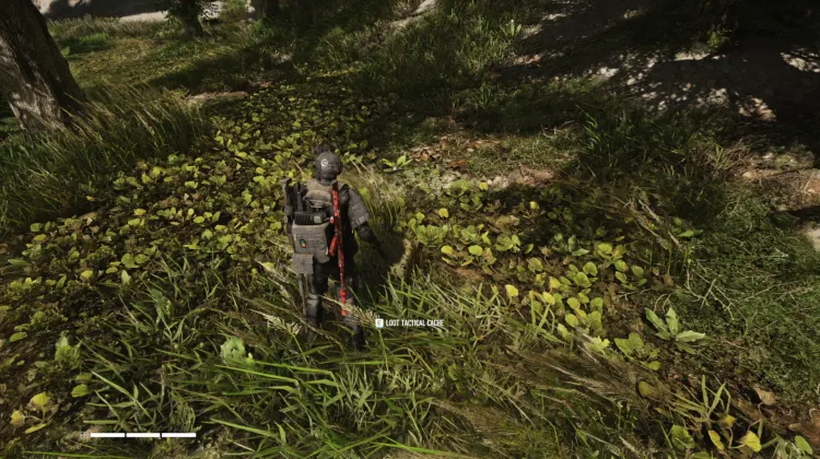Tactical Caches