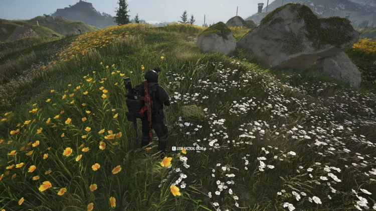 Tactical Caches
