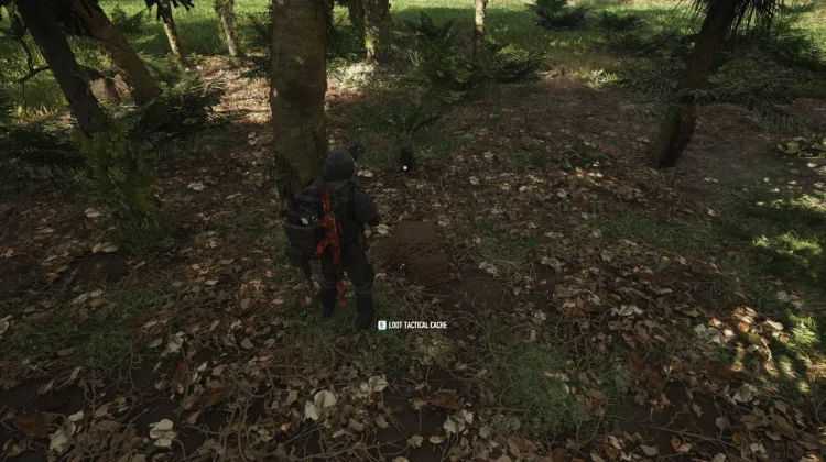 Tactical Caches