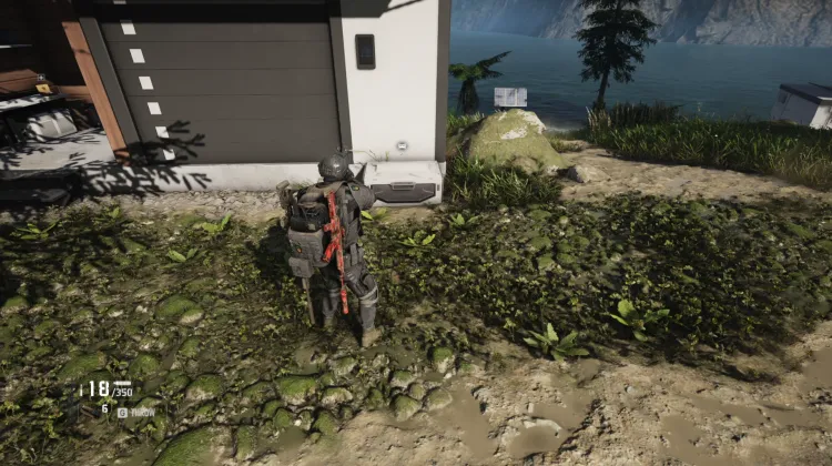 Wolf Armor