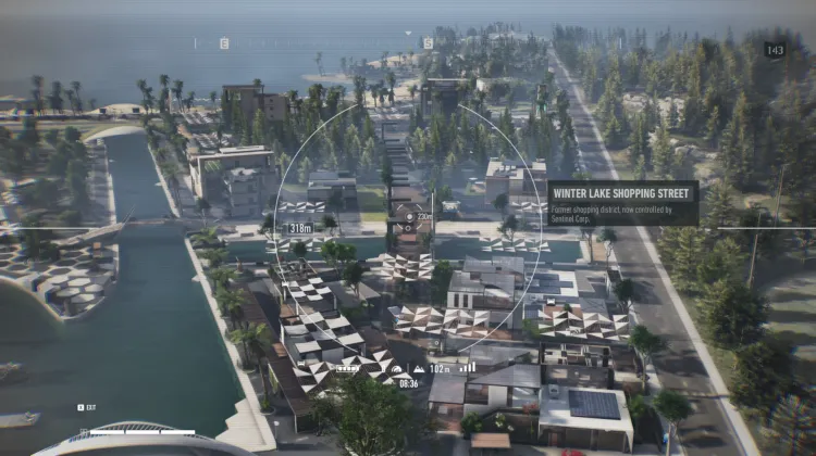 Winter Lake Shopping Street