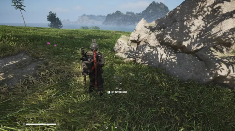 Tactical Caches
