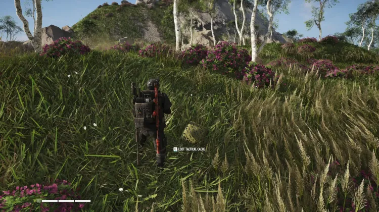 Tactical Caches