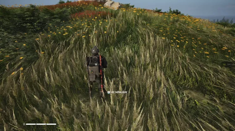 Tactical Caches