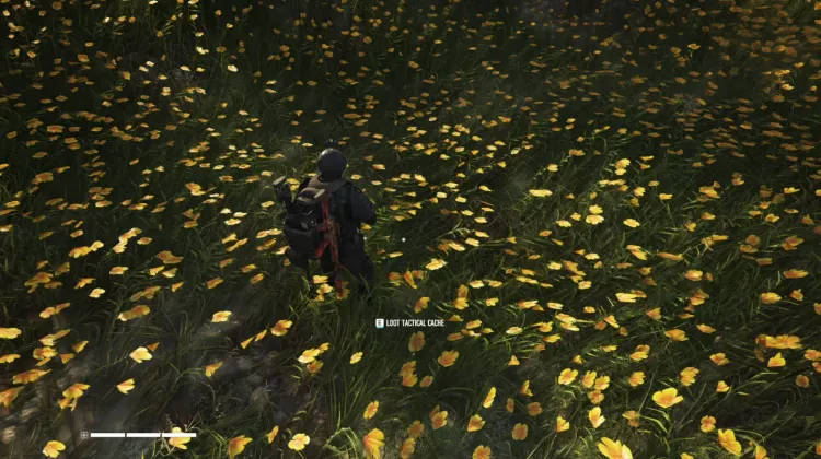 Tactical Caches