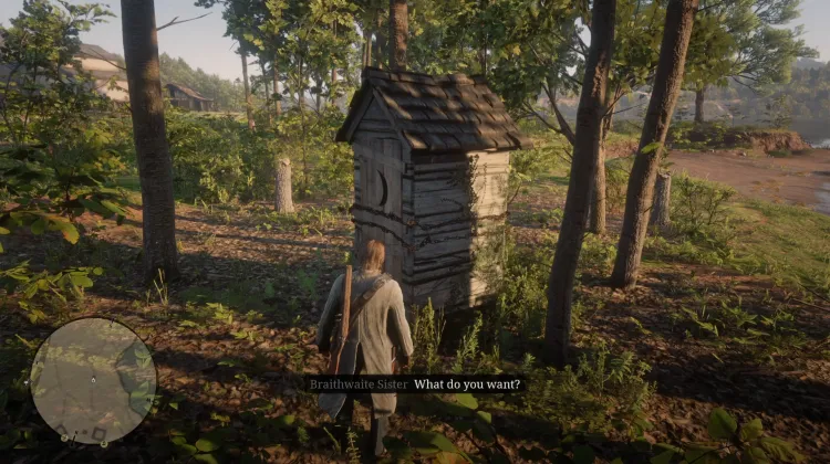 Braithwaites' Secret