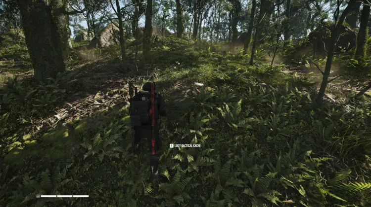 Tactical Caches