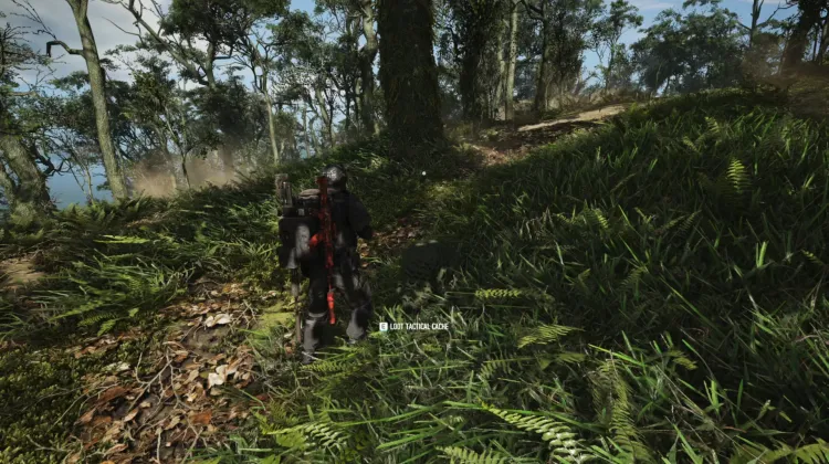 Tactical Caches