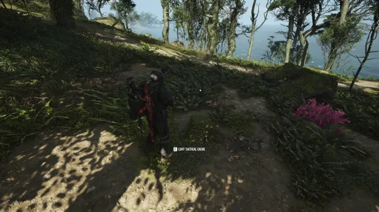 Tactical Caches