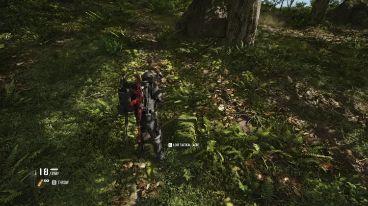 Tactical Caches