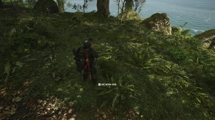Tactical Caches