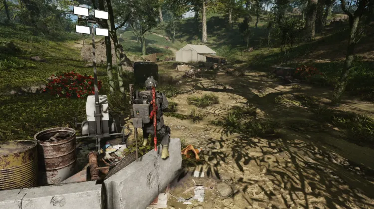 Sentinel Corp. Location