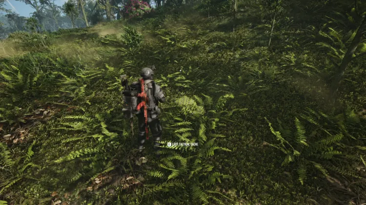 Tactical Caches