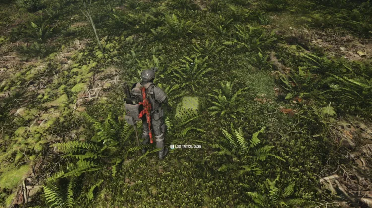 Tactical Caches