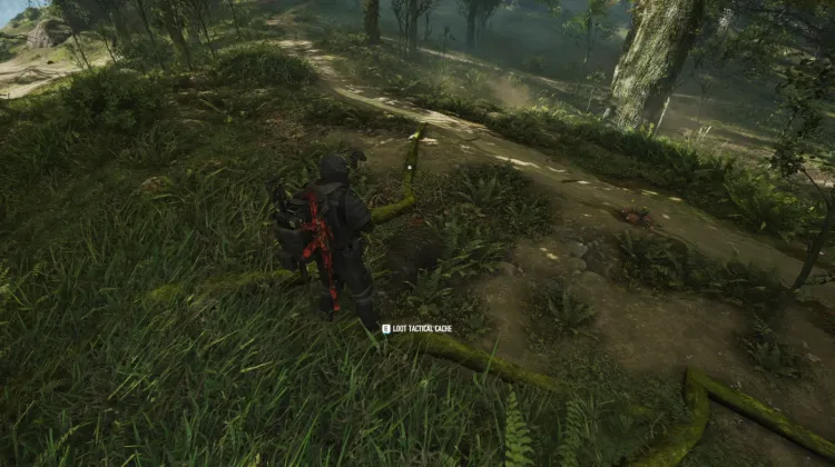 Tactical Caches