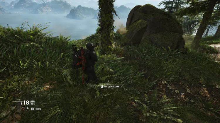 Tactical Caches