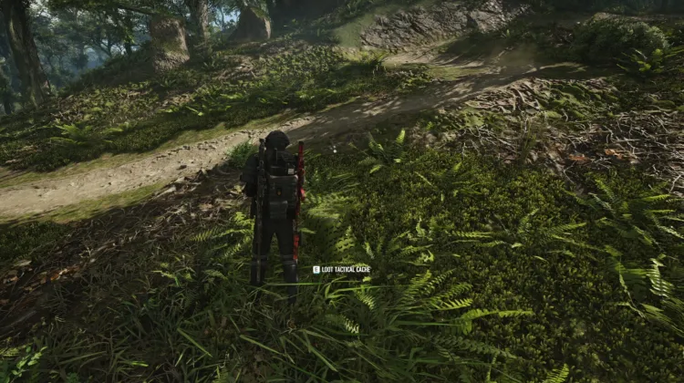 Tactical Caches
