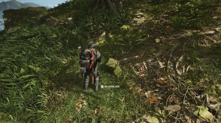 Tactical Caches