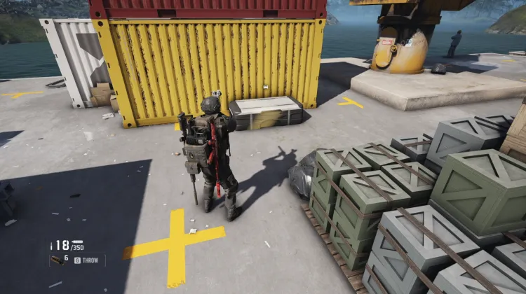 Cargo Pants