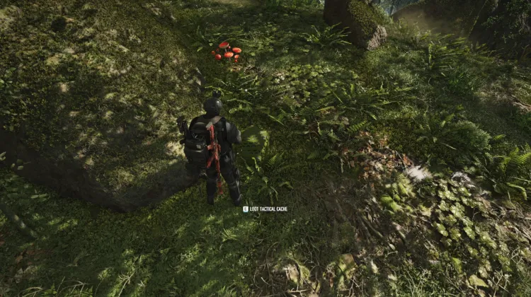 Tactical Caches