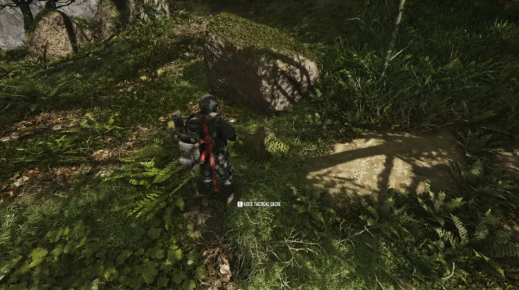 Tactical Caches