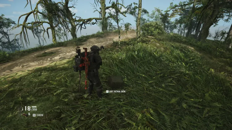 Tactical Caches
