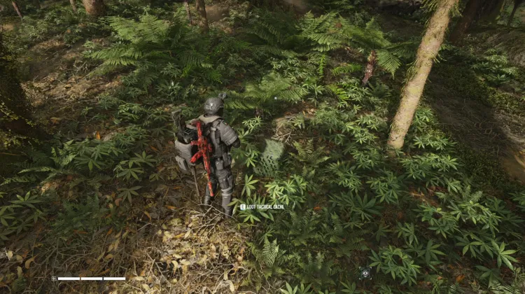 Tactical Caches