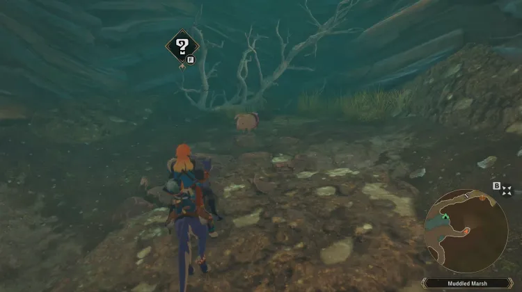 Poogie