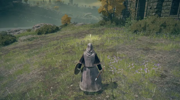 Church of Dragon Communion
