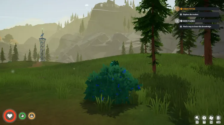 Roadberry Bush