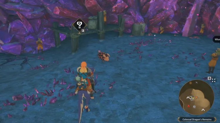 Poogie