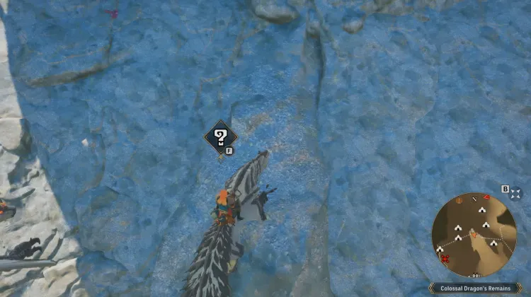 Poogie