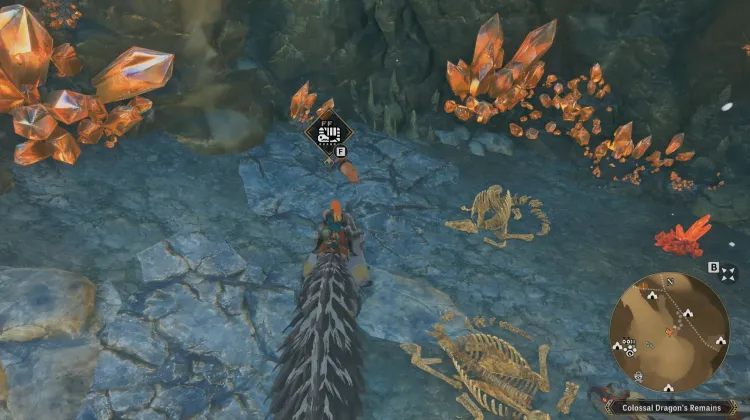 Poogie