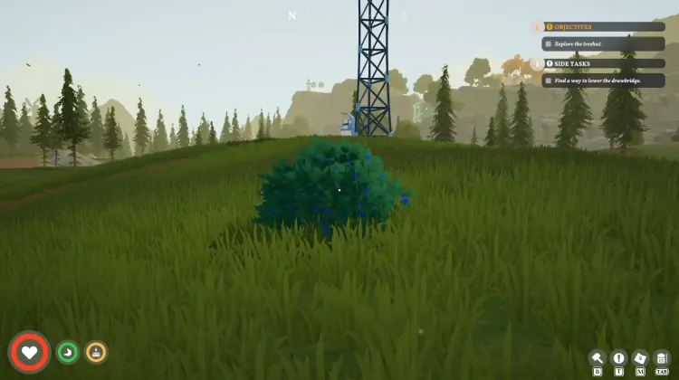 Roadberry Bush