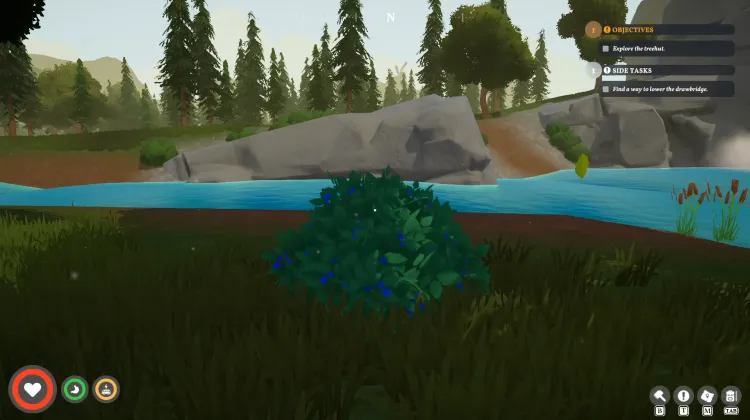 Roadberry Bush