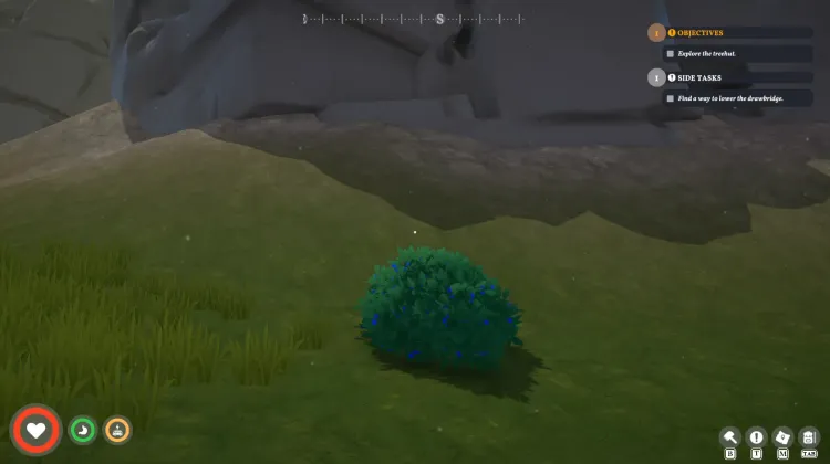 Roadberry Bush