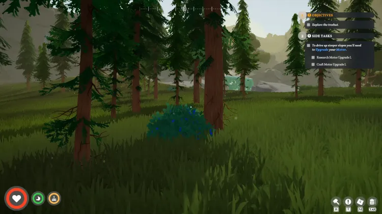 Roadberry Bush