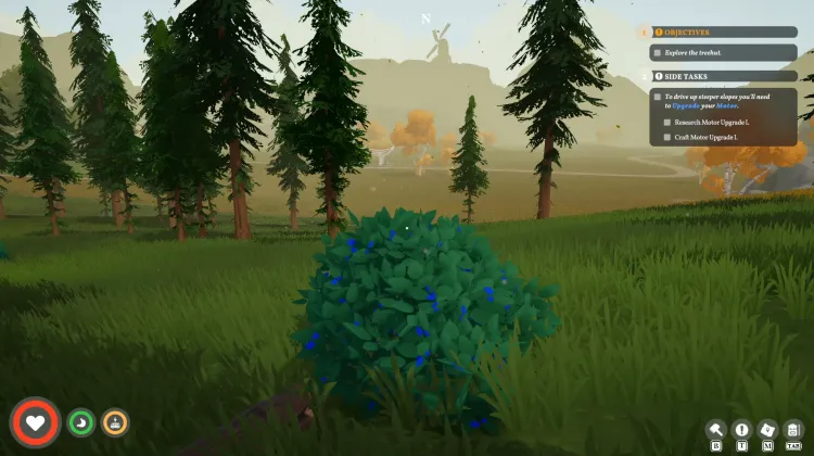 Roadberry Bush