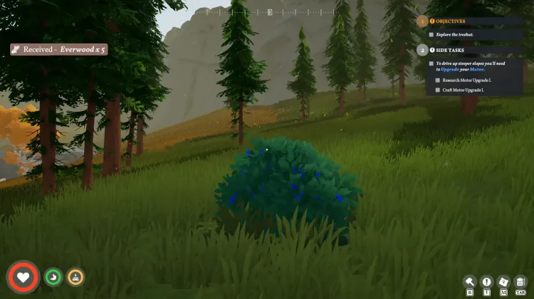 Roadberry Bush