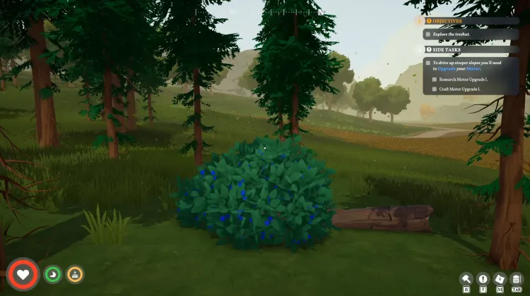 Roadberry Bush