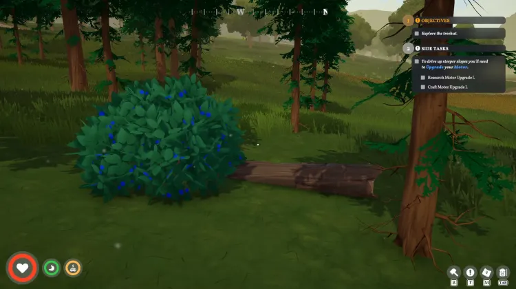 Everwood Tree (dead)