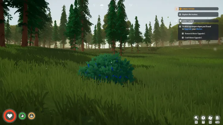 Roadberry Bush