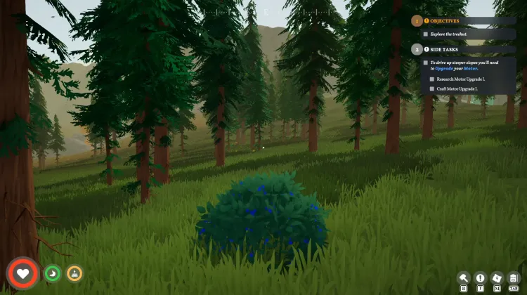 Roadberry Bush