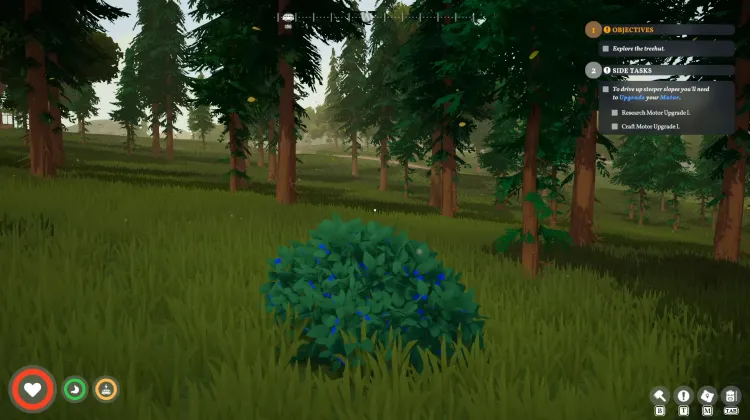 Roadberry Bush